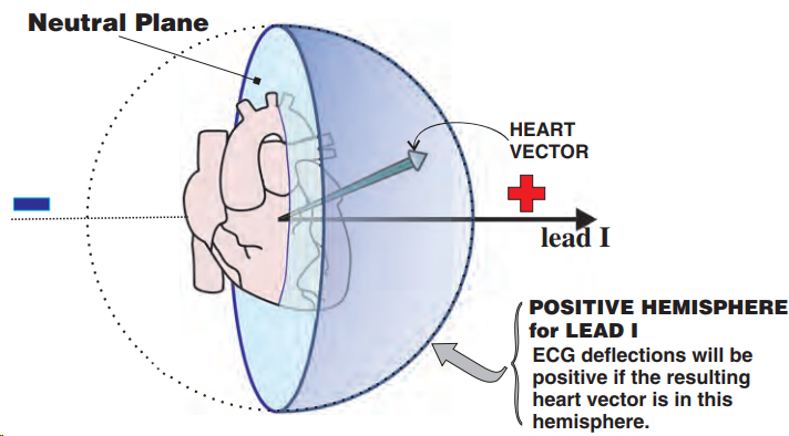Positive hemisphere for lead I. ECG deflections will be positive if the resulting heart vector is in this hemisphere