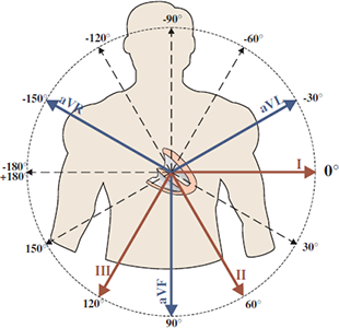 Frontal plane electrical QRS axis and limb leads