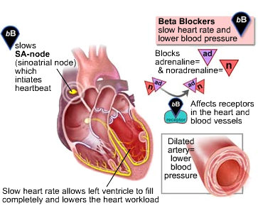 Beta blockers, adrenergic beta receptors, adrenaline, noradrenaline