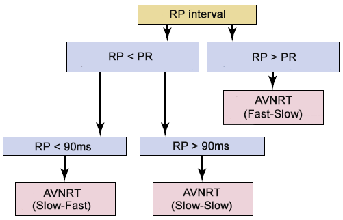 diagnostic algorithm AVNRT, RP inteval, slow-fast avnrt, slow-slow avnrt, fast-slow avnrt
