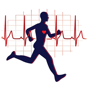 ECG Athletic heart
