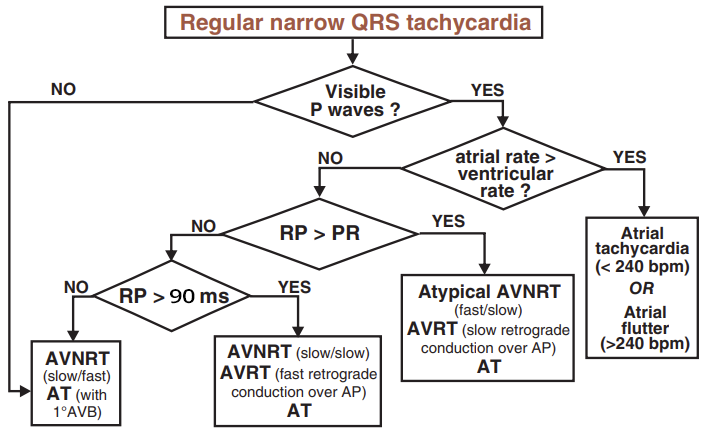 DDx algorighm narrow QRS complex tachycardia, Regular narrow QRS tachycardia, RP PR interval, unifocal atrial tachycardia, Atrial flutter, Atypical AVNRT (fast-slow), AVRT, PJRT, Rare AVNRT (slow-slow), Atypical AVNRT (slow-fast), Atrial tachycardia with first degree AV block