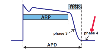 Mechanism Delayed Afterdepolarization Induced Triggered Activity, Phase 4 of Action Potential
