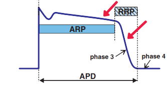 Mechanism of arrhythmias, Early After-depolarization, phase 2 or phase 3