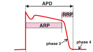 Action potential, Absolute and Relative Refractory Periods (ARP, RRP)